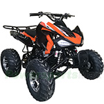 ATV-G021 200 ATV with Automatic Transmission w/Reverse, Electric Start! Big 21"/20" Aluminum Wheels!