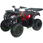 ATV-G039 150cc Utility ATV with Automatic Transmission w/Reverse, Big 20"/19" Wheels!