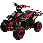 Fully Assembled and Tested! X-PRO Eagle 110cc ATV with Automatic Transmission, with Remote Control! Rear Rack!
