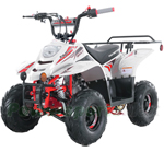 ATV-T059 New 110cc ATV with Automatic Transmission, Remote Control! Rear Rack!