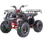 ATV-T061 New 125 ATV with Automatic Transmission w/Reverse, LED Headlights, Remote Control! Big 19"/18" Tires!