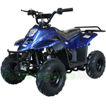 Fully Assembled and Tested! ATV-W027 110cc ATV with Automatic Transmission, with Remote Control! Rear Rack!