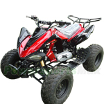 ATV-W028 RPS 200cc Sports ATV with Automatic Transmission with Reverse, Big 23"/22" Steel Tires!