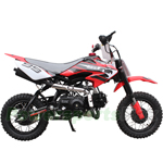 DB-J007 110cc Dirt Bike with Fully Automatic Transmission, Electric Start! 10" Wheels!