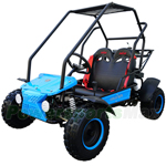 GK-J007 125cc Go Kart with Automatic Transmission with Reverse, Rear Disc Brake, Big 16" Tires!