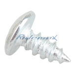 ST4x10MM Tapping Screw