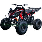 ATV-G003 125cc Sports ATV with 3-Speed Semi-Automatic Transmission w/Reverse, Big 21"/20" Tires!