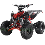 ATV-G005 125cc ATV with Automatic Transmission w/Reverse, Electric Start, Big 19"/18" Tires!