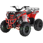 ATV-G007 125cc ATV with Automatic Transmission w/Reverse, Electric Start, Big 19"/18" Tires!