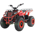 ATV-G032 200cc ATV with Automatic Transmission w/Reverse, Electric Start, Big 23"/22" Tires!