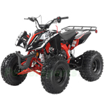 ATV-G046 125cc ATV with Automatic Transmission w/Reverse, Electric Start, Big 19"/18" Tires!