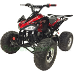 ATV-J029 125cc Sports ATV with Automatic Transmission w/Reverse, Remote Control! Big 19"/18" Chrome Wheels!