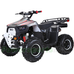 Fully Assembled and Tested! ATV-J036 120cc Mid Size ATV with Fully Automatic w/Reverse, LED headlights! Big 19"/18" Tires