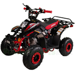 X-PRO Eagle 110cc ATV with Automatic Transmission, with Remote Control! Rear Rack!