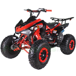 Fully Assembled and Tested! X-PRO Panther 200 Sports ATV with Automatic Transmission with Reverse, LED Headlights, Big 23"/22" Tires!