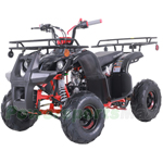 Fully Assembled and Tested! ATV-T060 New 125 ATV with Automatic Transmission w/Reverse, LED Headlights, Remote Control! Big 16" Tires!