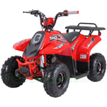 Fully Assembled and Tested! ATV-T062 110cc ATV with Automatic with Reverse Transmission, Remote Control! Rear Rack!