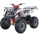 ATV-T063 120cc ATV with Automatic Transmission w/Reverse, LED Headlights! Big 19"/18" Alloy Rims Tires!