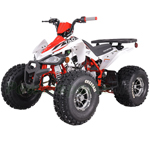 Fully Assembled and Tested! ATV-T064 120cc Sportier Style ATV with Automatic Transmission w/Reverse, LED DRL! Big 19"/18" Alloy Rims Tires!