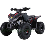 ATV-T065 120cc ATV with Automatic Transmission w/Reverse, LED Running Lights! Big 19"/18" Tires!