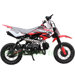 Fully Assembled and Tested! DB-J007 110cc Dirt Bike with Fully Automatic Transmission, Electric Start! 10" Wheels!