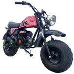 X-PRO Raptor 200cc Super Size Mini Trail Bike with Automatic Transmission and Pull Start! 19" Wide Fat Balanced Tires! with Rear Double Shock and Rear Rack!