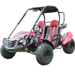 Free Shipping! GK-M38 200 Adult Size Go Kart with Automatic Transmission w/Reverse, Big 20"/21" Wheels!