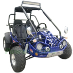 Free Shipping! GK-M33 200cc EFI Buggy Go Kart with Automatic Transmission w/Reverse! Big 22"/22" Aluminum Wheels!
