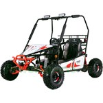 GK-T017 125 Go Kart with Fully Automatic Transmission w/Reverse, LED Light Bar! Big 16" Wheels!