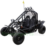 GK-W001 200 Go Kart with Automatic Transmission w/Reverse! Big 21"/22" Wheels!