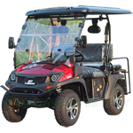 Free Shipping! UV-M32 60V BLDC Brushless DC Motor Golf Cart Style Utility Vehicle! Shaft Drive Transmission!
