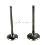 Intake & Exhaust Valve for CF250 Engine Scooters and Go Karts